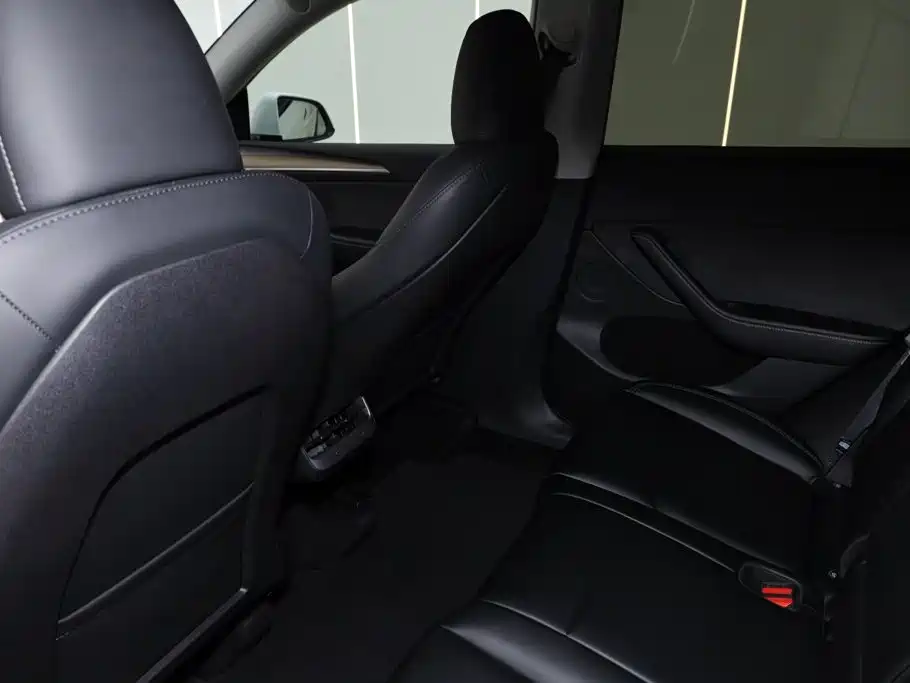 Tesla Model Y — миниатюра 22