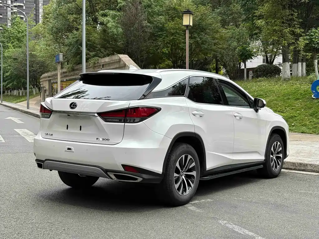 Lexus RX — миниатюра 14
