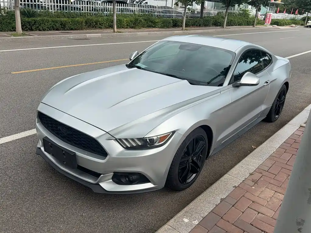 Ford Mustang — миниатюра 3
