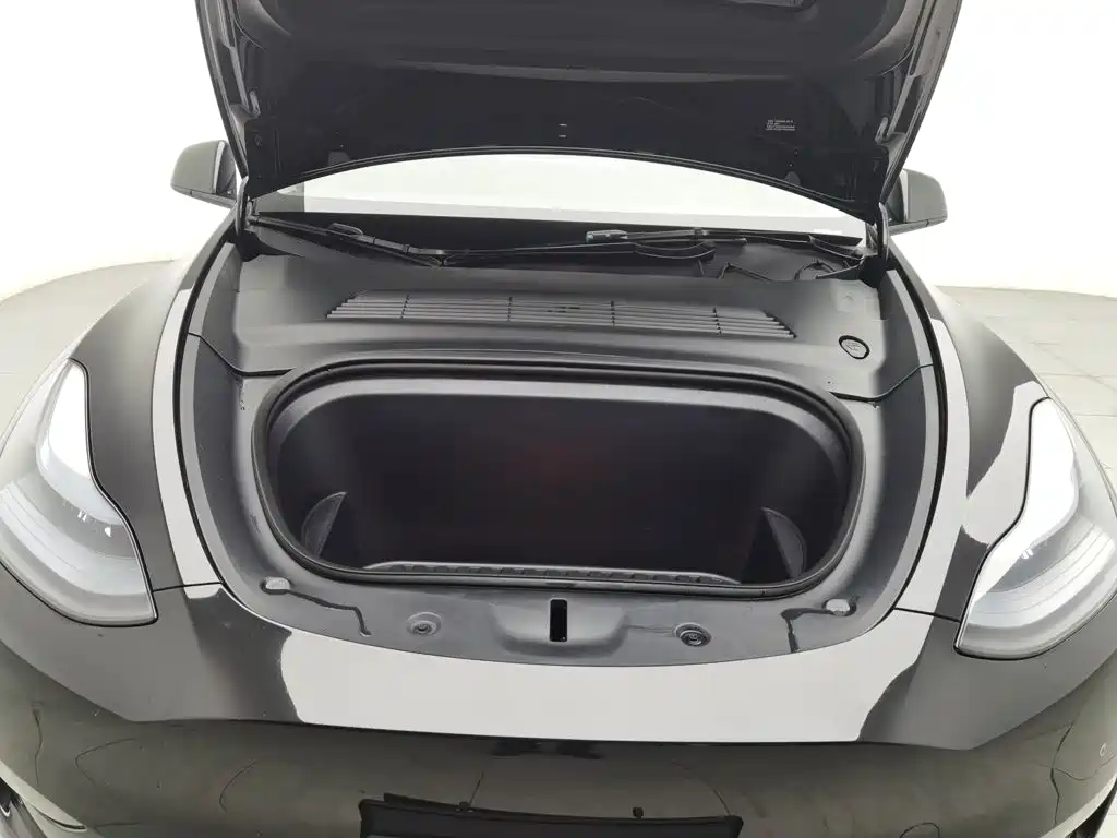 Tesla Model Y — миниатюра 6