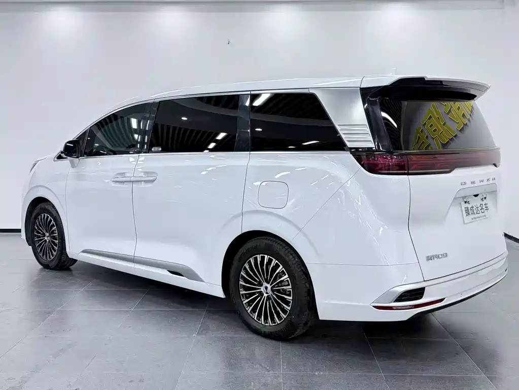 Denza Denza D9 — миниатюра 5