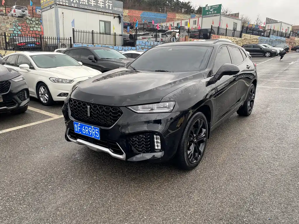 WEI PAI WEI BRAND VV7