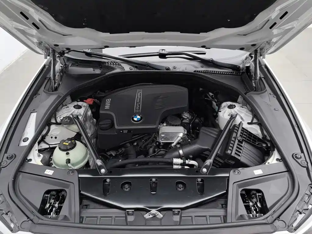 BMW 5 Series (Import) — миниатюра 6