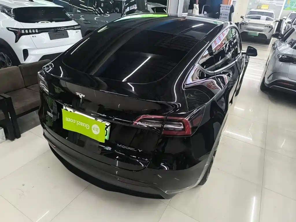 Tesla Model Y — миниатюра 5