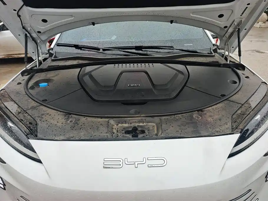 BYD SONGJIANG NEW ENERGY