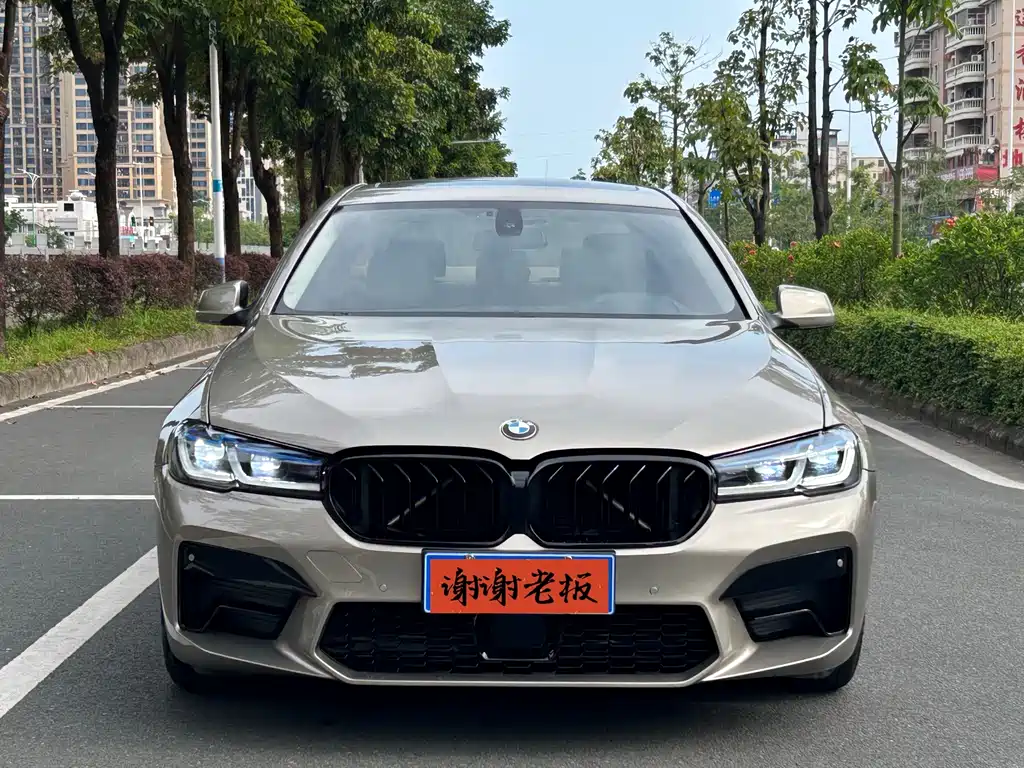 BMW 5 Series 5 2011 523Li Lead