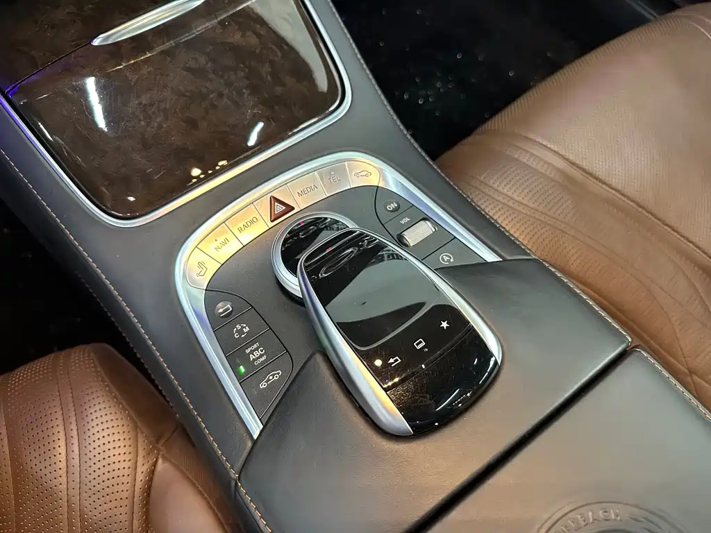 Mercedes-Benz S-Class AMG AMG S 65 L, фото 19
