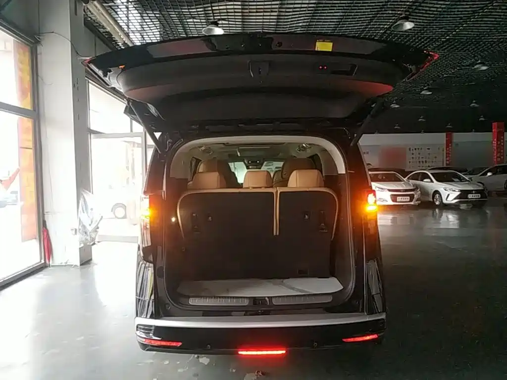 Denza Denza D9 — миниатюра 19