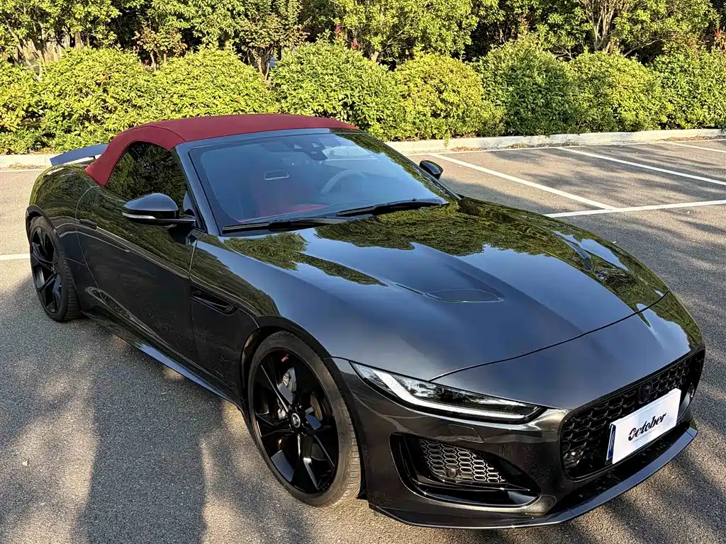 Jaguar F-TYPE — миниатюра 8