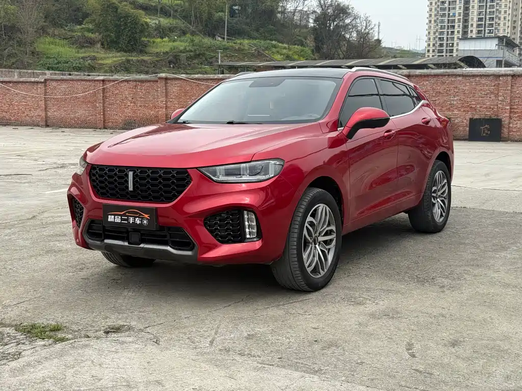 Wey Wey VV5 2019