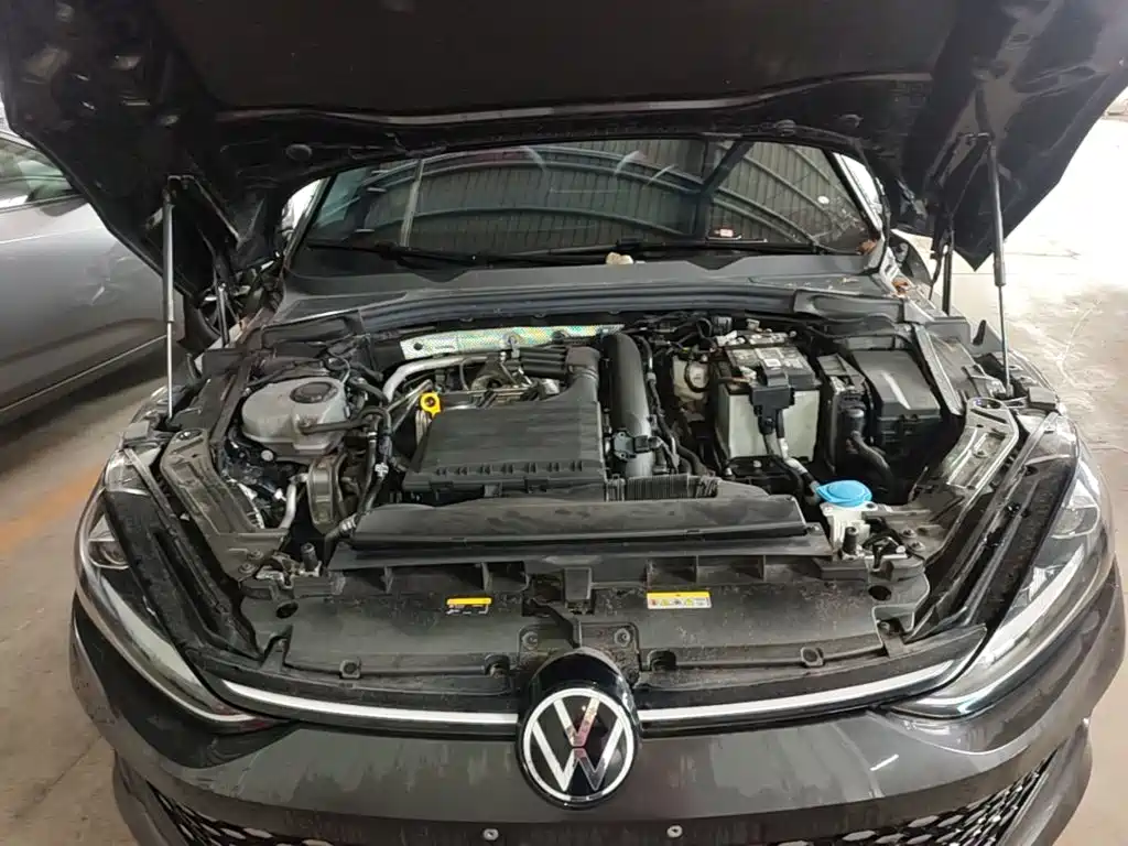 Volkswagen Lamando — миниатюра 20
