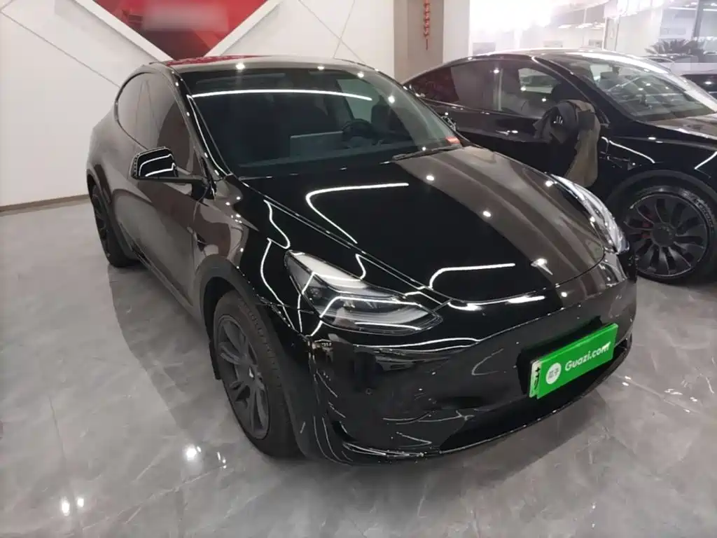 Tesla Model Y — миниатюра 4