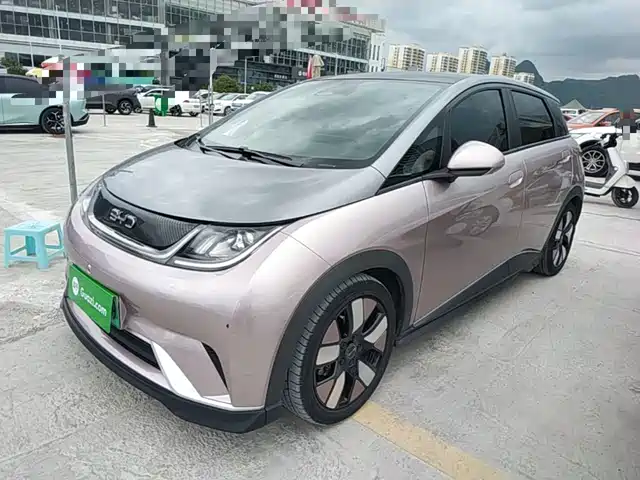 2021 BYD Dolphin