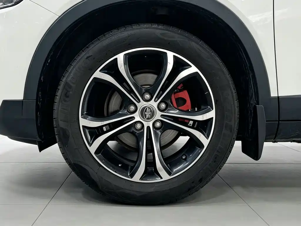 FAW Senya R7 — миниатюра 11