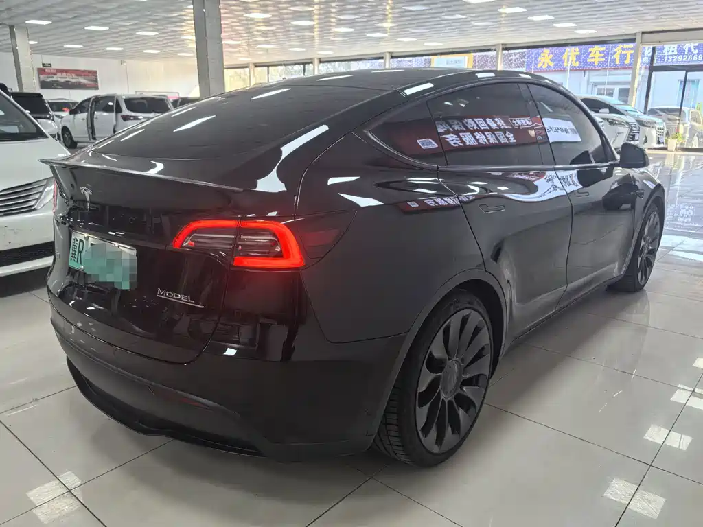 Tesla Model Y — миниатюра 4