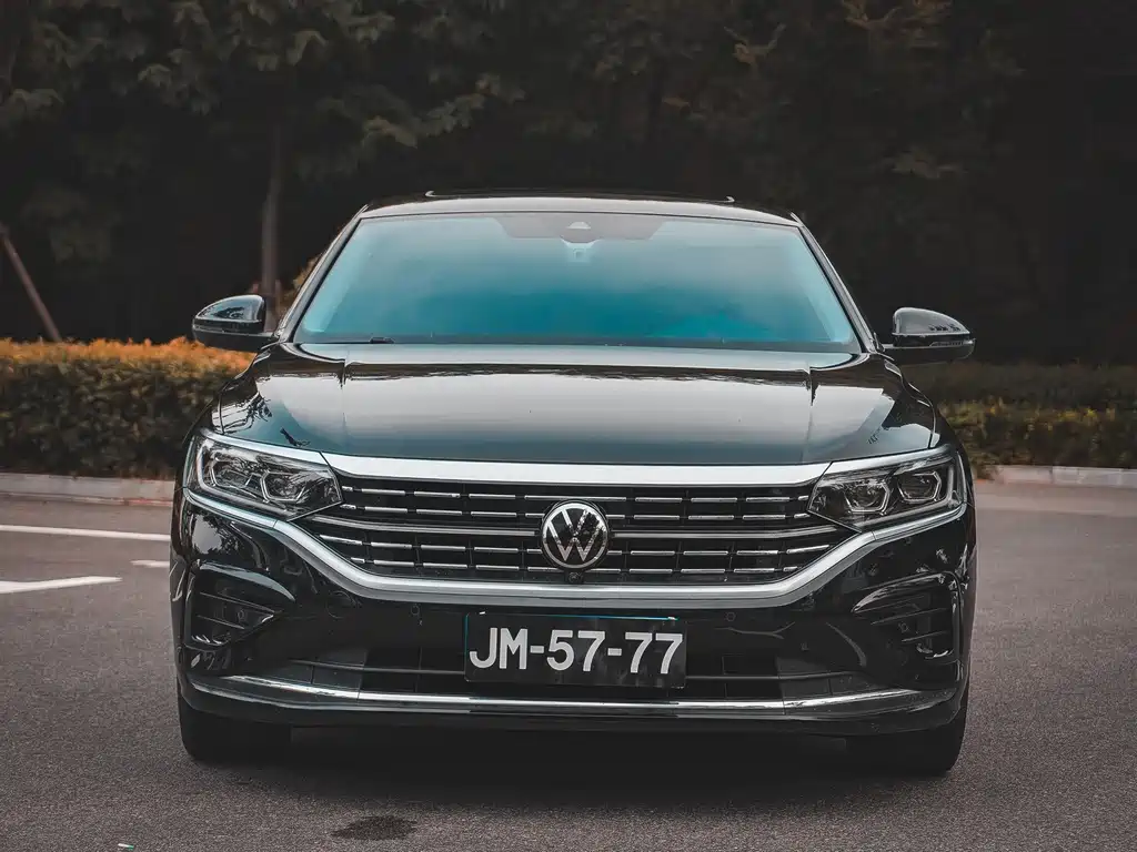 Volkswagen Passat — миниатюра 2