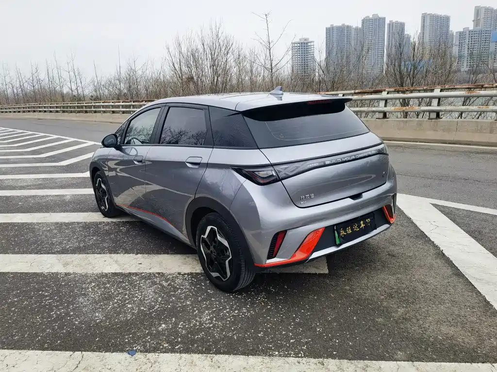 BYD DOLPHIN
