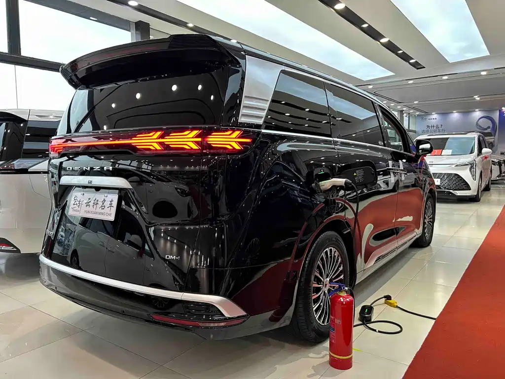 Denza Denza D9 — миниатюра 24