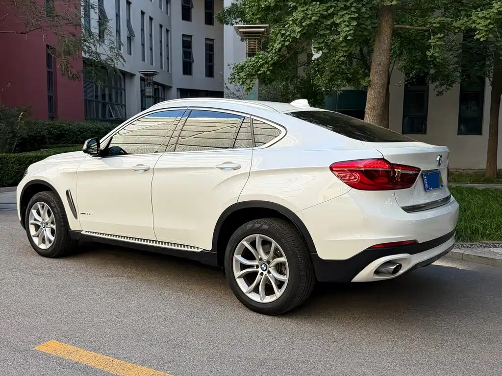 BMW X6 — миниатюра 12