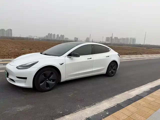 TESLA MODEL 3 2020