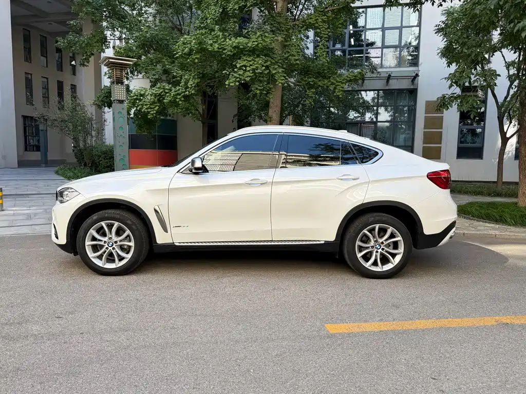 BMW X6 — миниатюра 9