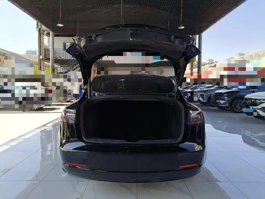 Tesla Model 3 — миниатюра 15