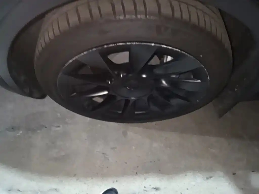 Tesla Model Y — миниатюра 23