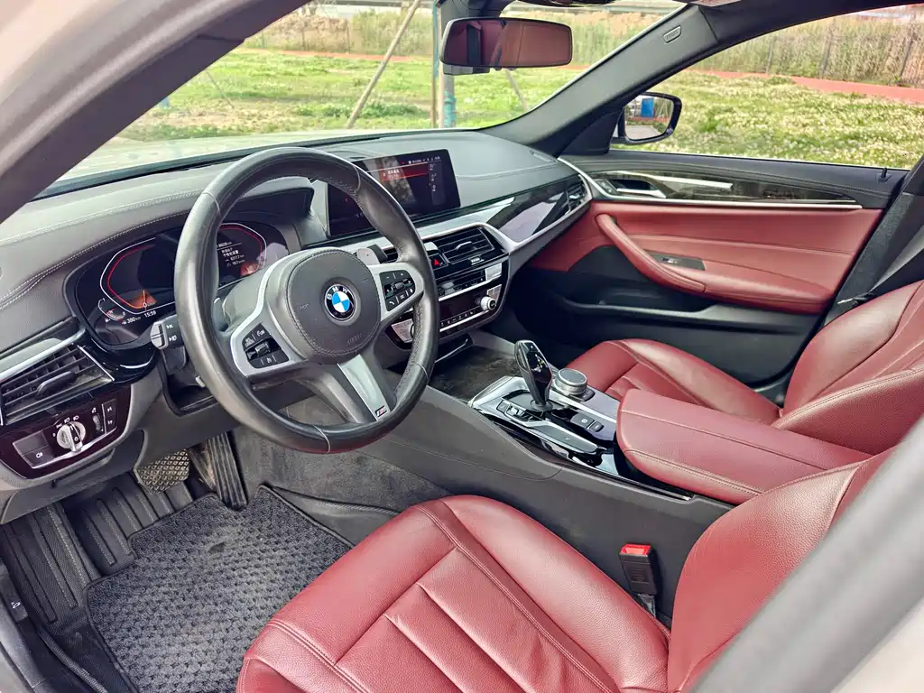 BMW 5 Series 5 2020 530Li Lead M Sport