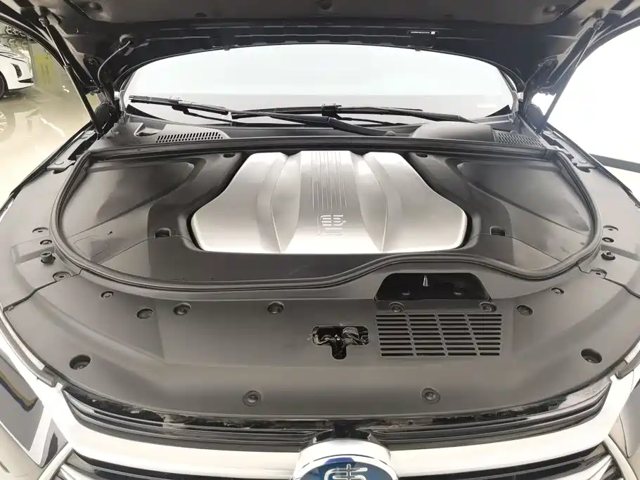 BYD Tang New Energy — миниатюра 10