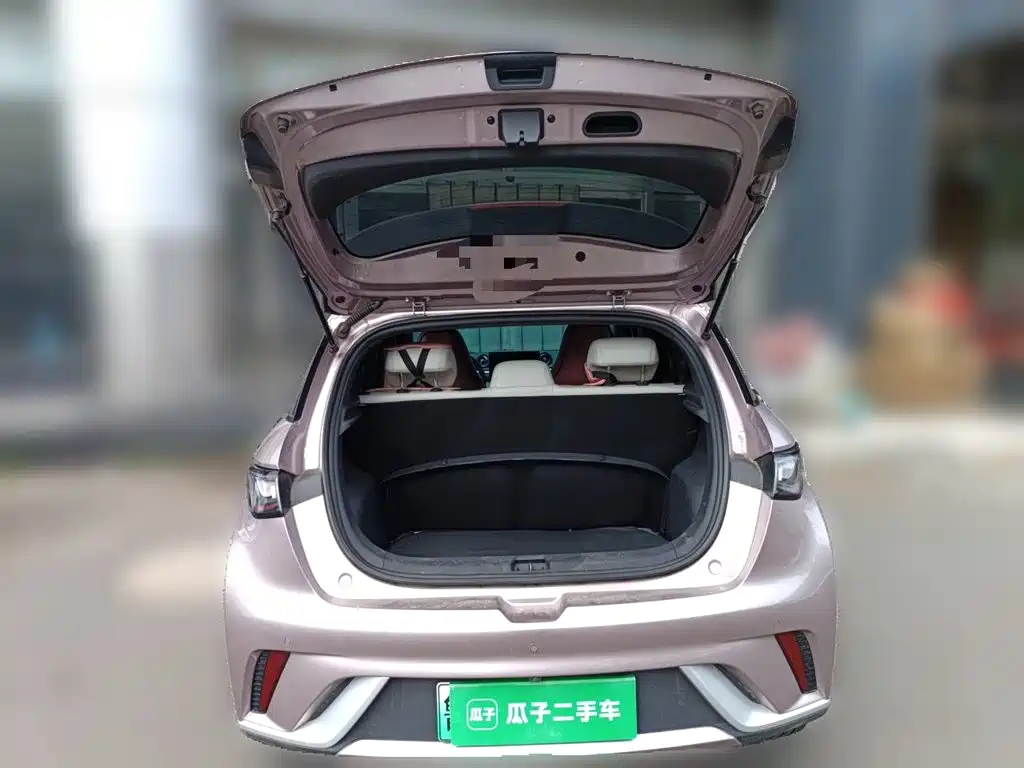 BYD Dolphin — миниатюра 10