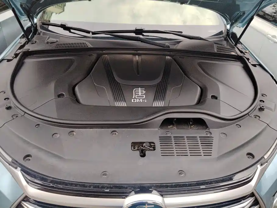 BYD Tang New Energy — миниатюра 10