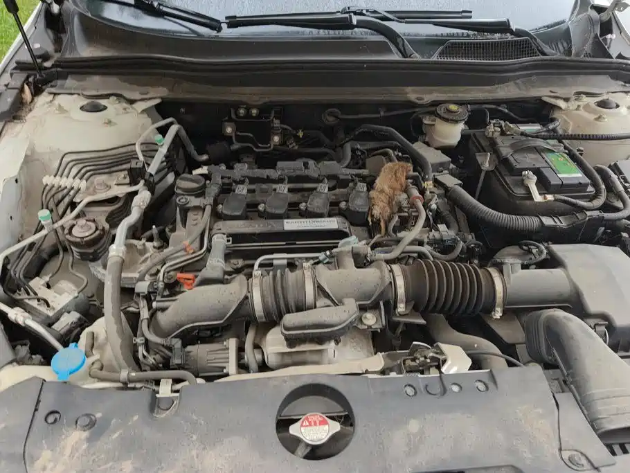 Honda Accord — миниатюра 10