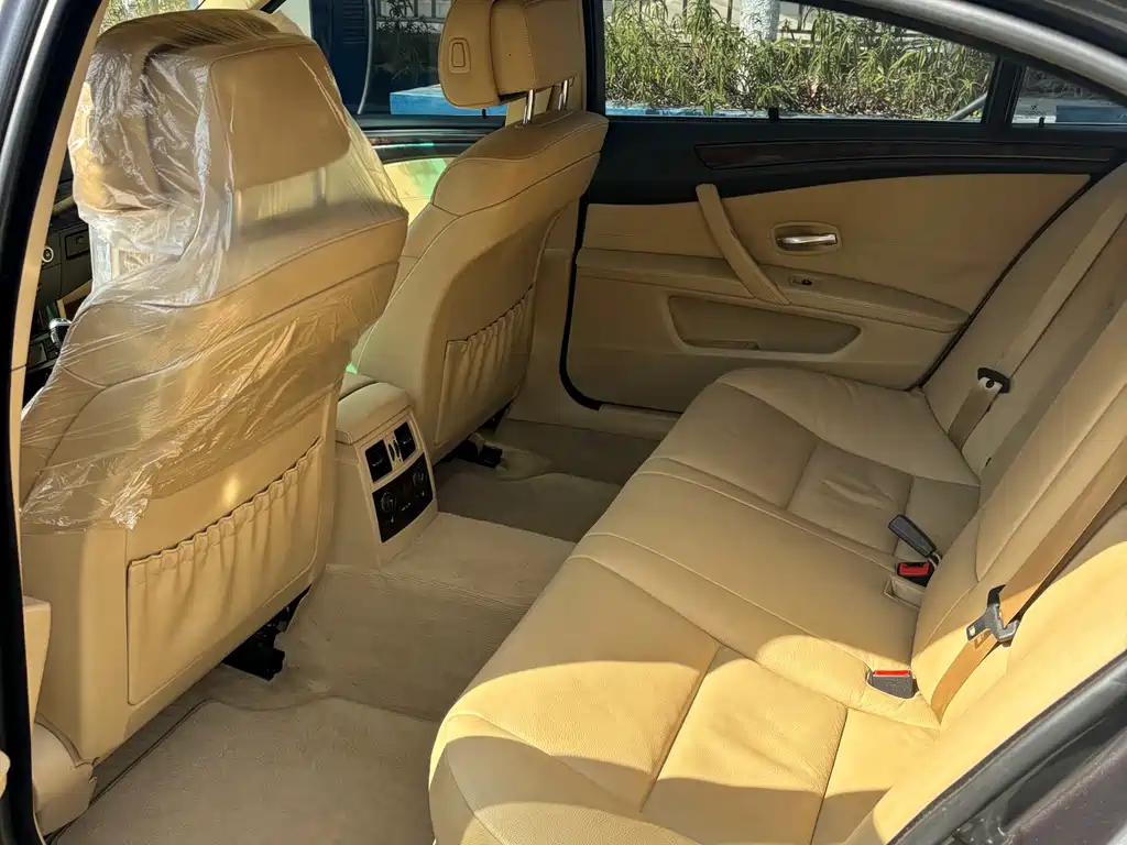 BMW 5 Series 5 2009 523Li Lead