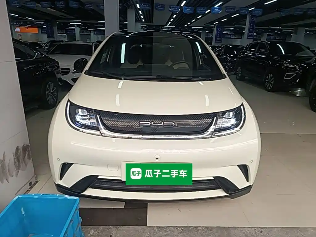 BYD Dolphin — миниатюра 3