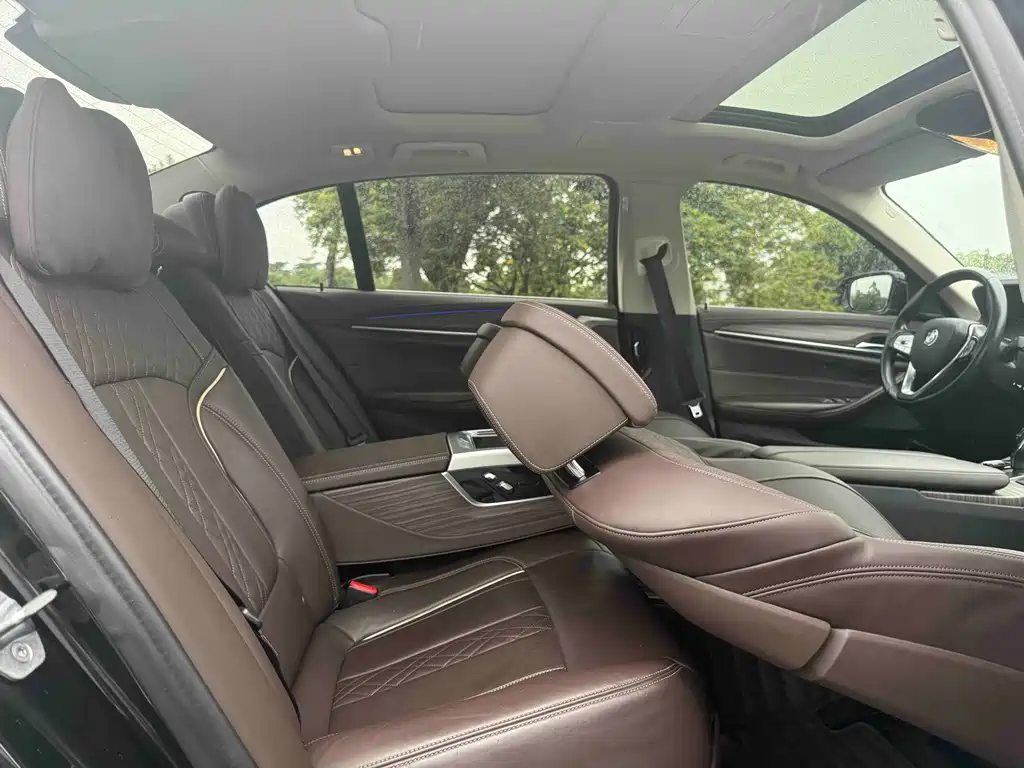 BMW 5 Series 5 2020 530Li Premium Luxury