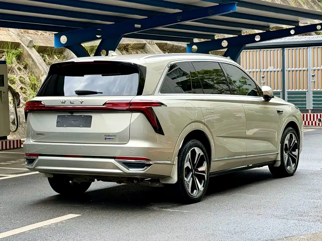 WEI PAI WEI BRAND BLUE MOUNTAIN