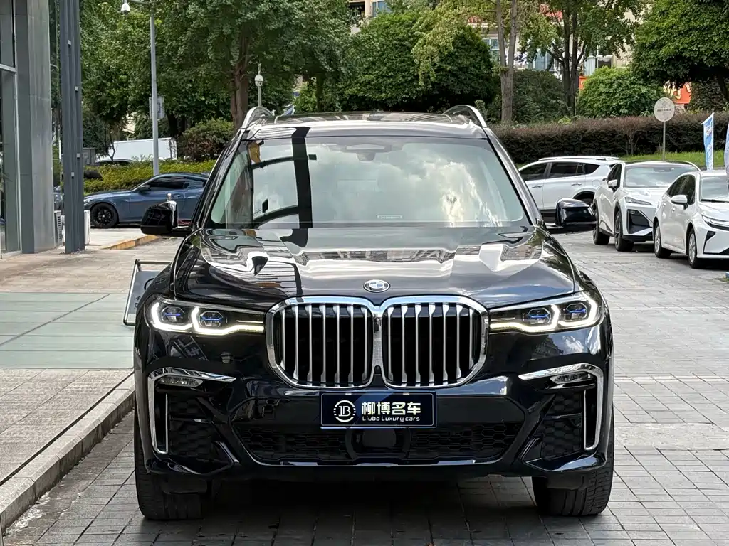 BMW X7 — миниатюра 2