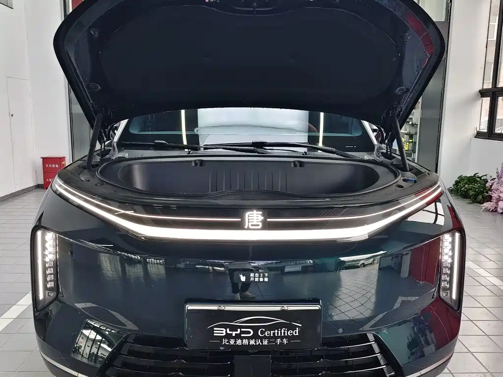 BYD 大唐 — миниатюра 2