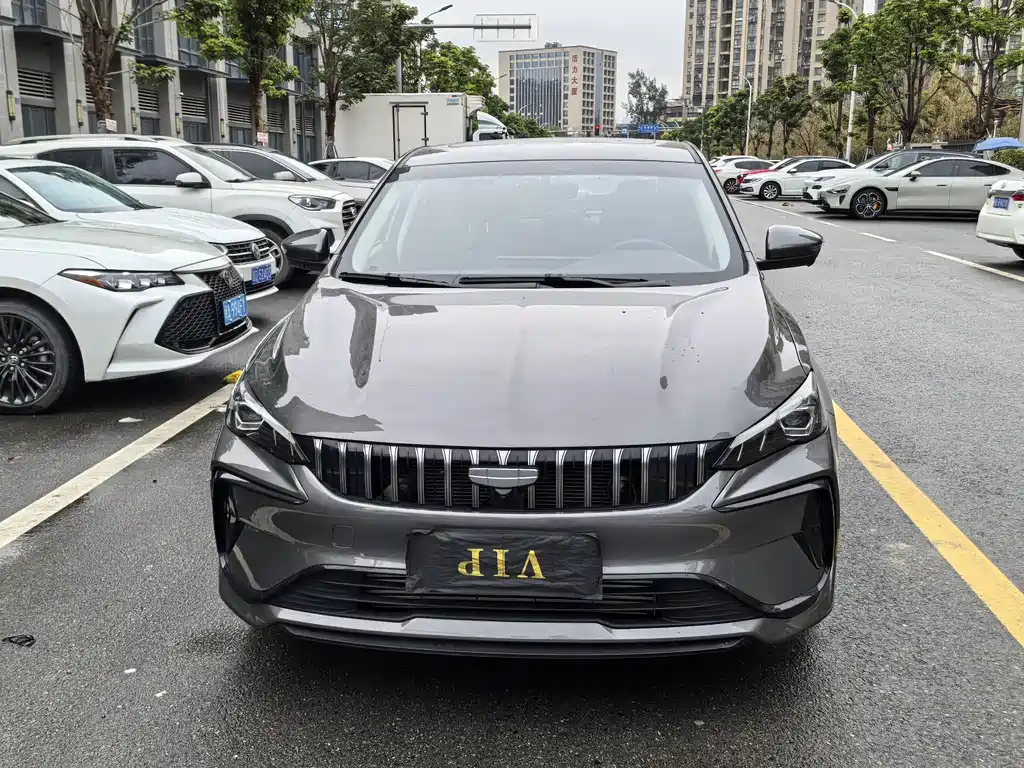GEELY AUTOMOBILE BINRUI
