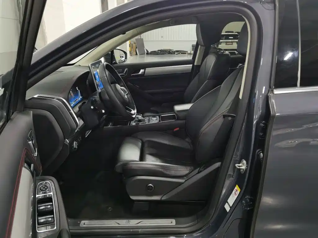 BYD Tang New Energy — миниатюра 10