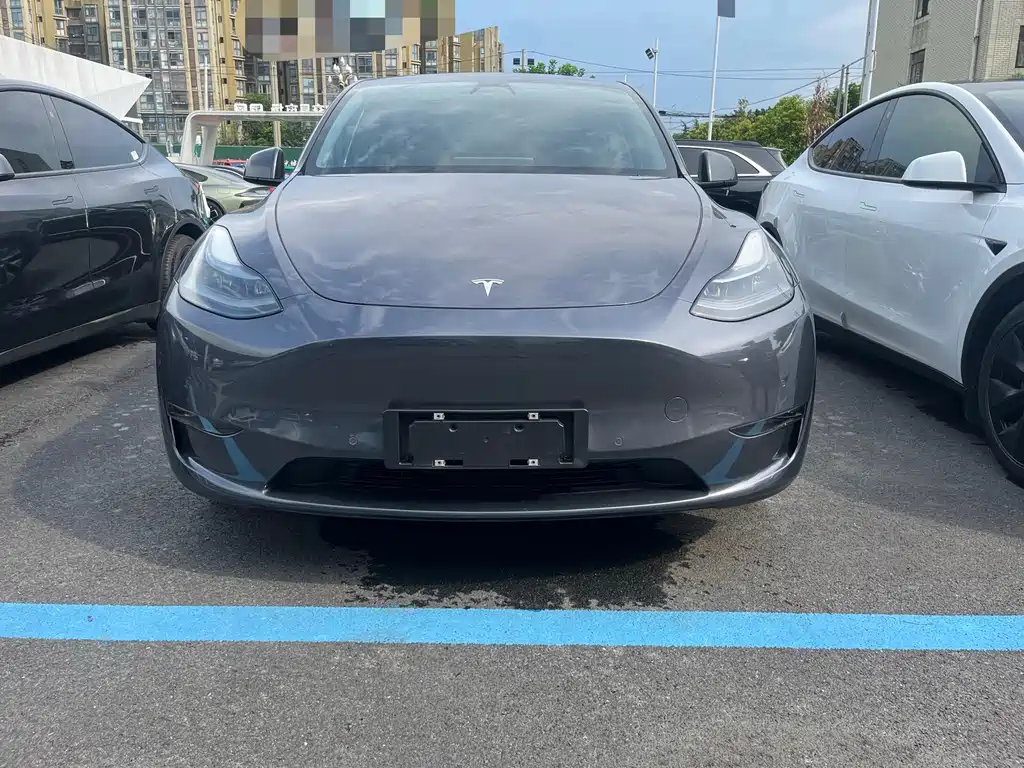 Tesla Model Y — миниатюра 2