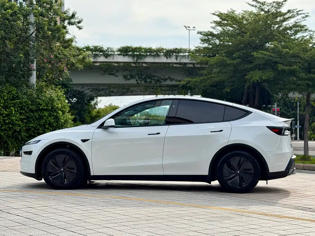 Tesla Model Y — миниатюра 4