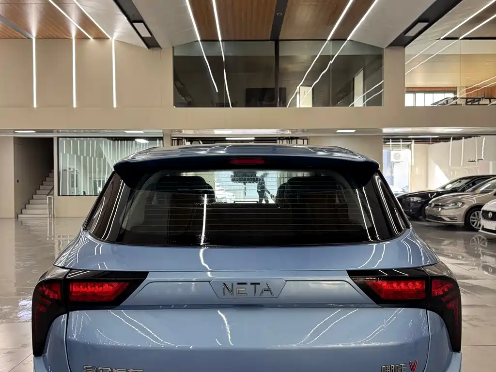 Neta Neta V — миниатюра 7