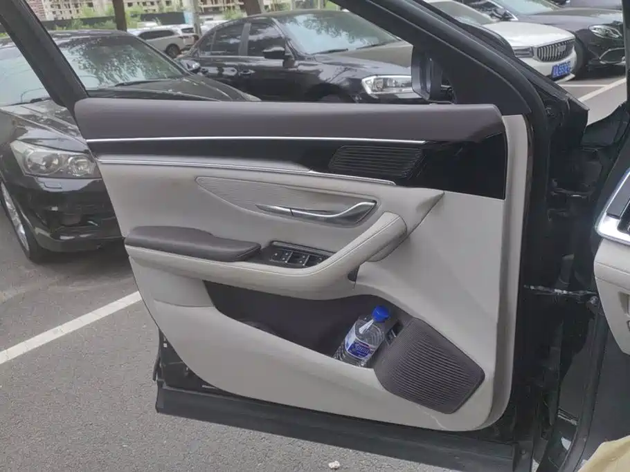 BYD PLUS New Energy — миниатюра 7