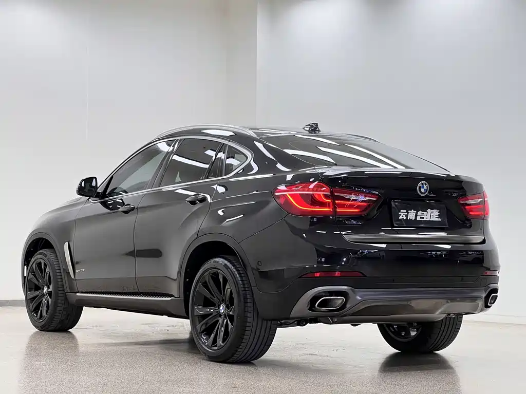 BMW X6 2018 xDrive35i Lead