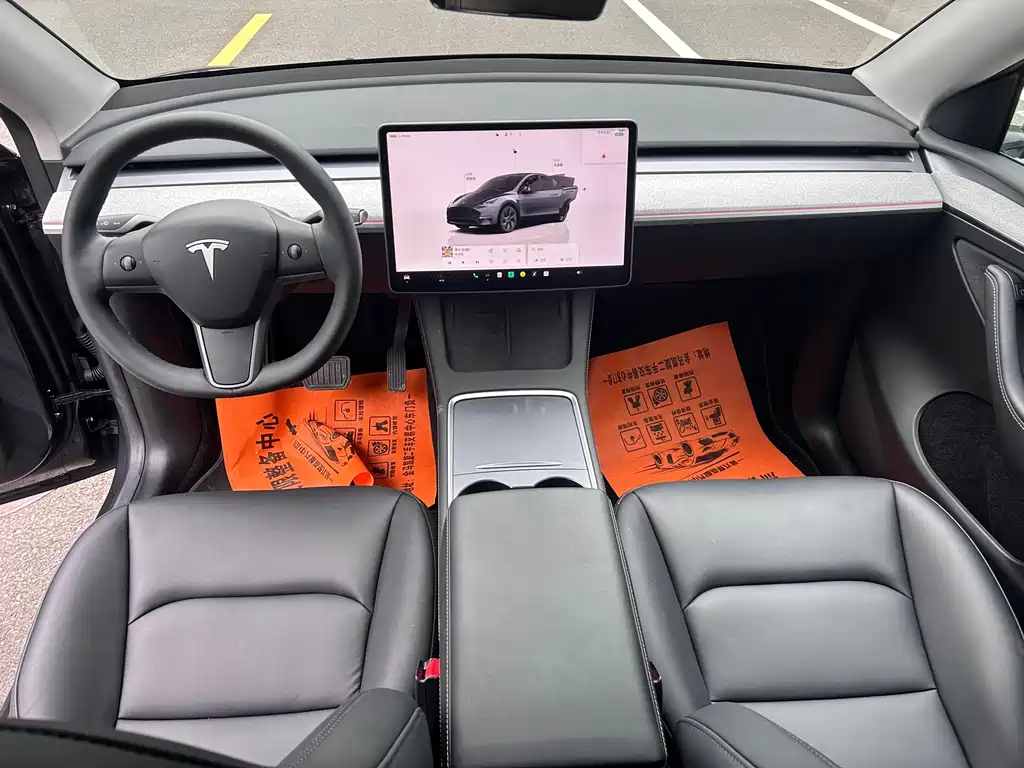 Tesla Model Y — миниатюра 7