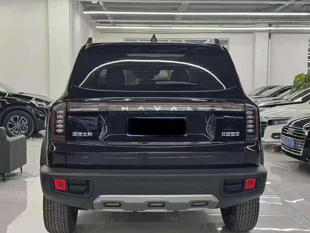 Haval Big Dog — миниатюра 8
