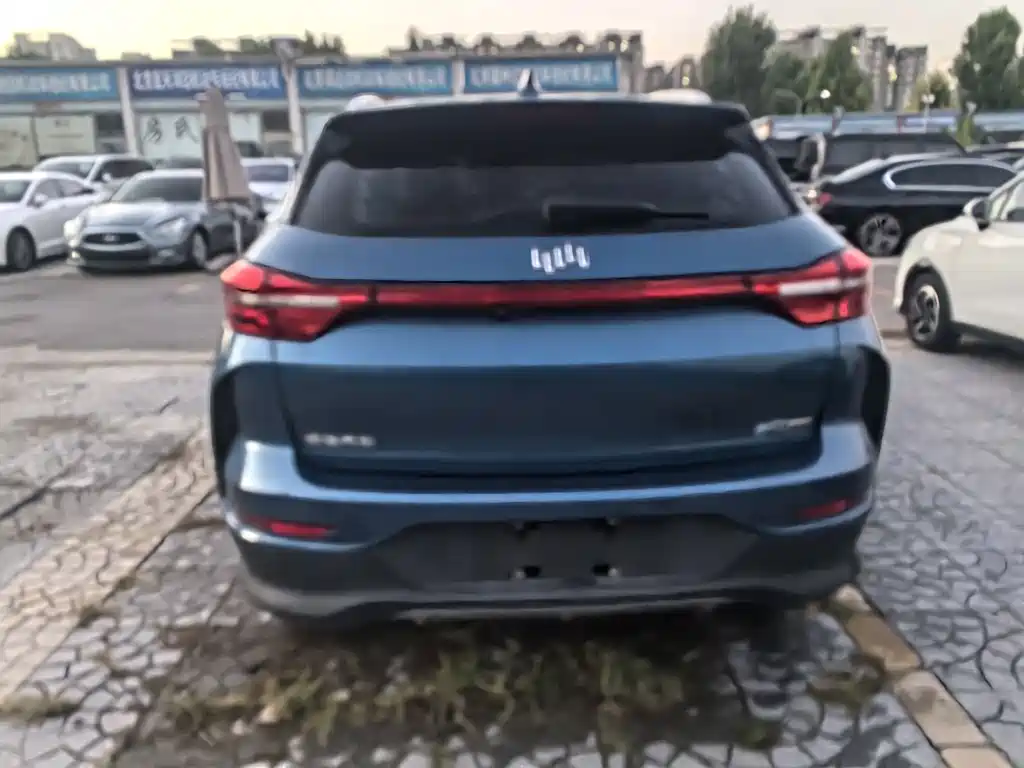 WM Motor EX5 — миниатюра 7