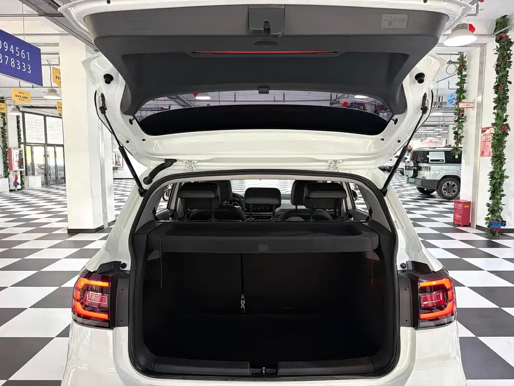 Volkswagen Tacqua — миниатюра 16