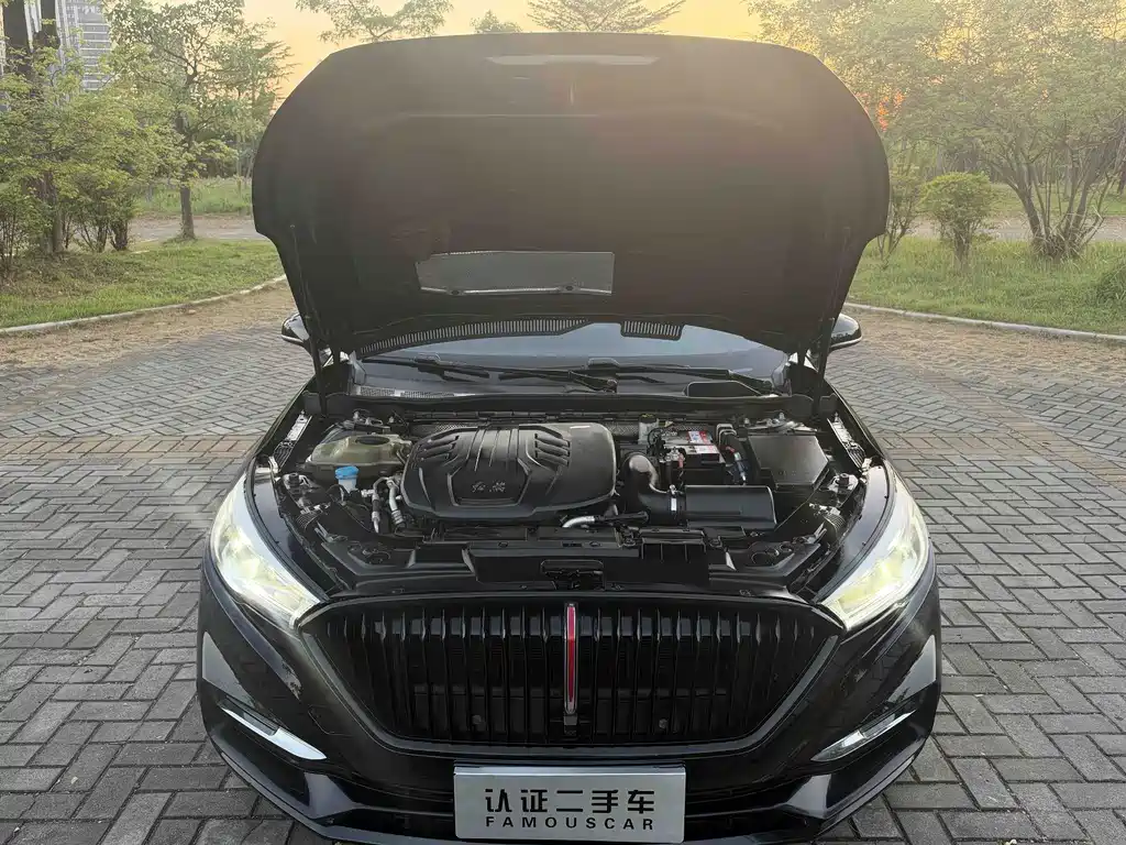 Hongqi Hongqi H5 — миниатюра 23